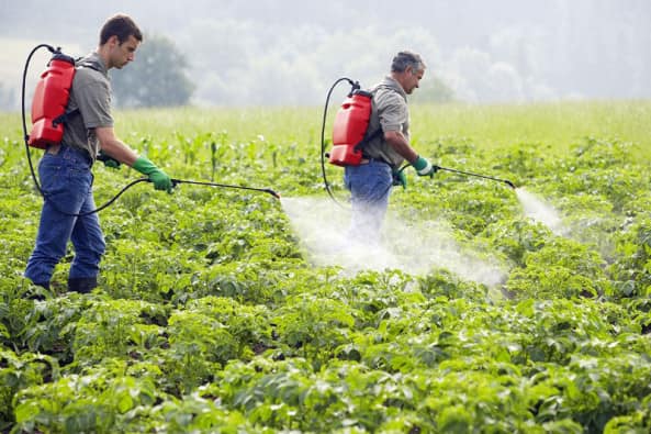 توعية بفوائد الهيوميك أســــيد - Humic Acid